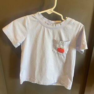 Pumpkin toddler shirt 2t